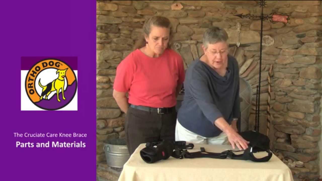 Cruciate Care Knee Brace 2014