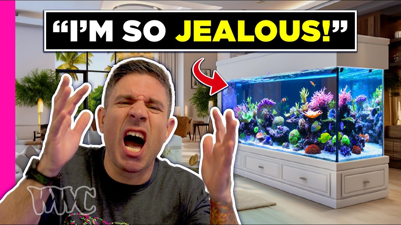 This Guy Makes My Fish Tank Look BAD 🥲
