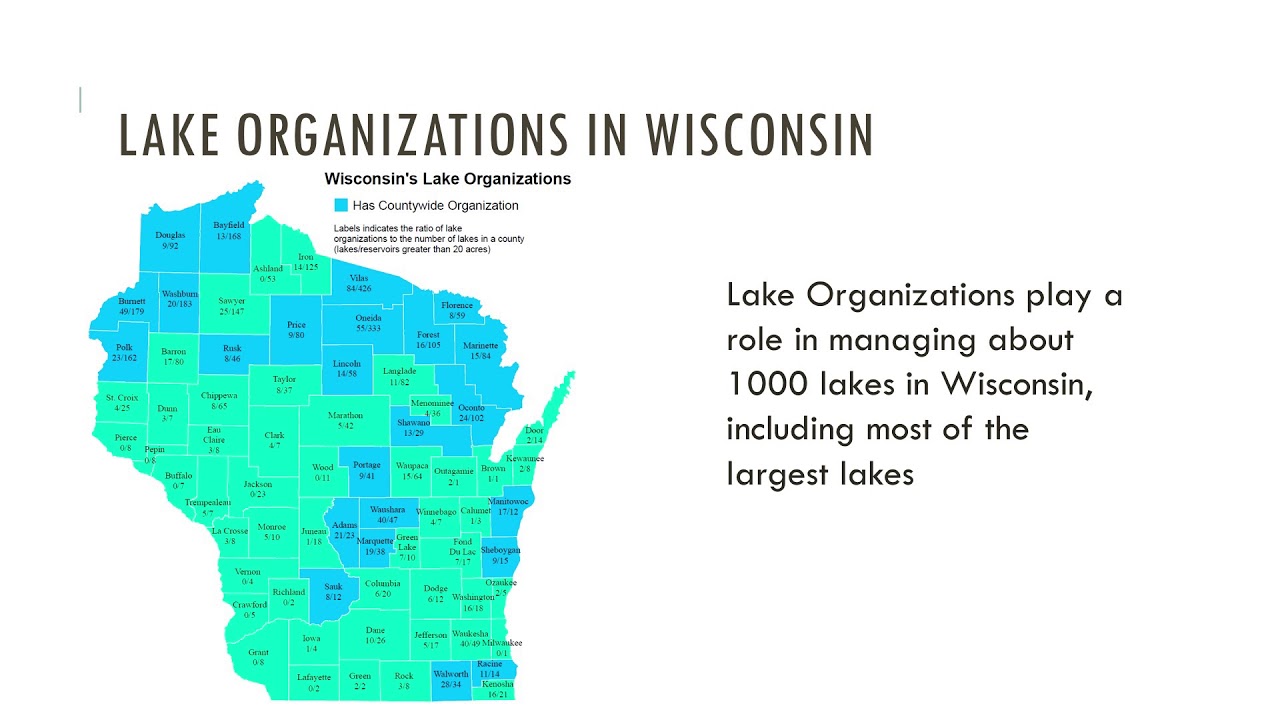 Lake Organization Capacity 101