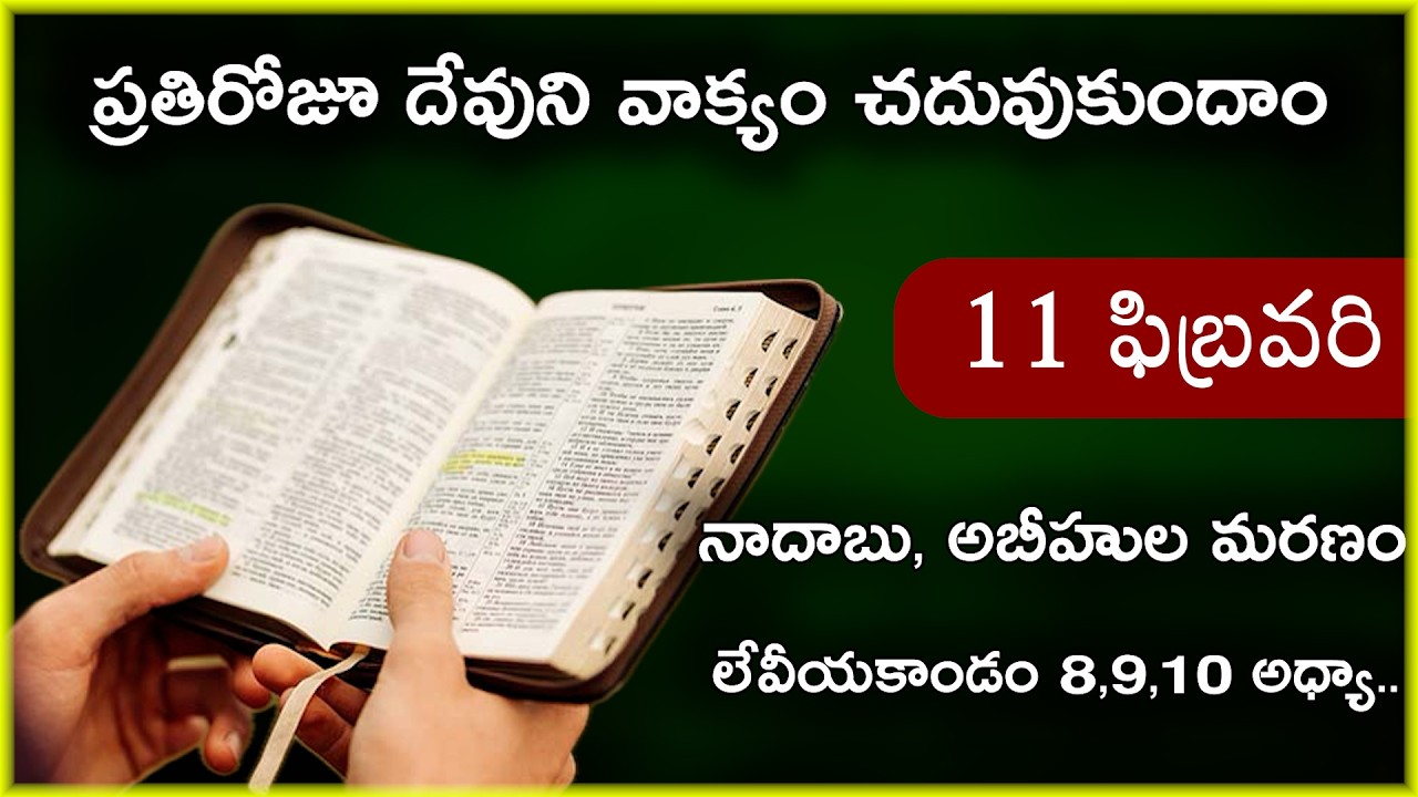 Feb 11 | లేవీయకాండం 8,9,10 అధ్యాయాలు | అహరోను కుమారుల పాపం, మరణం | Daily Bible Reading 42