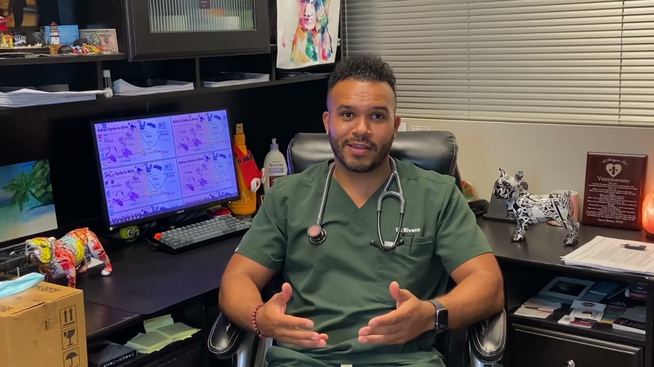 Client Testimonial — Dr. Aaron Bivens,  South Buffalo Springs Animal Hospital, Las Vegas Nevada.