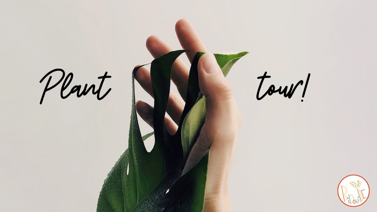 Plant tour part1