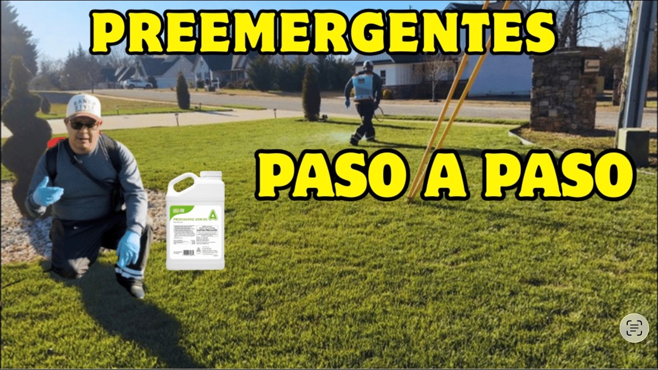 Quieres saber cómo aplicar  pre-Emergent  al césped correctamente? En este video te mostrare