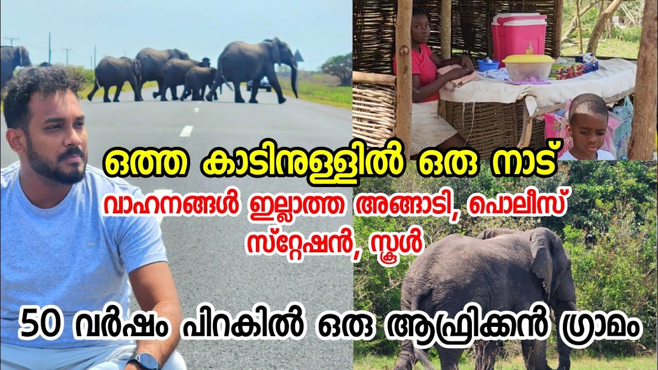 50 വർഷം പിറകിൽ ജീവിക്കുന്നവർ | ആഫ്രിക്കൻ കാടിനുള്ളിലെ ഒറ്റപ്പെട്ട ഗ്രാമീണർ | Mozambique, Africa
