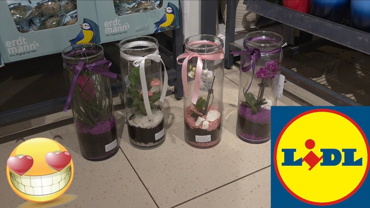 ARRIVAGE LIDL 13 FÉVRIER 2026