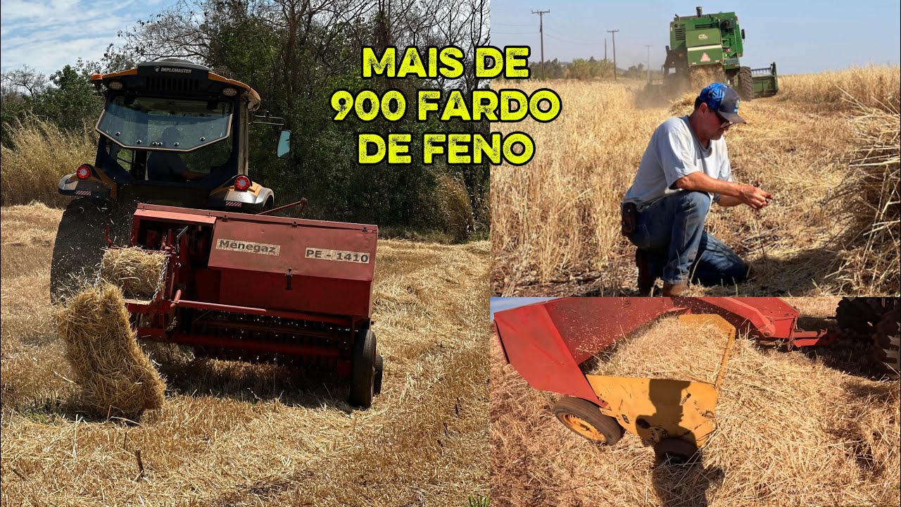 ENFARDAMOS A AVEIA 