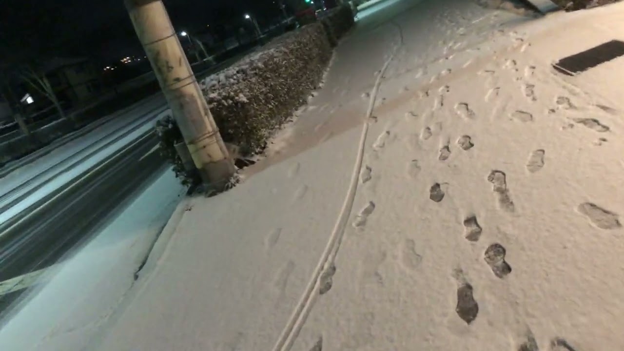【雪日】三田本町もかーい20260208