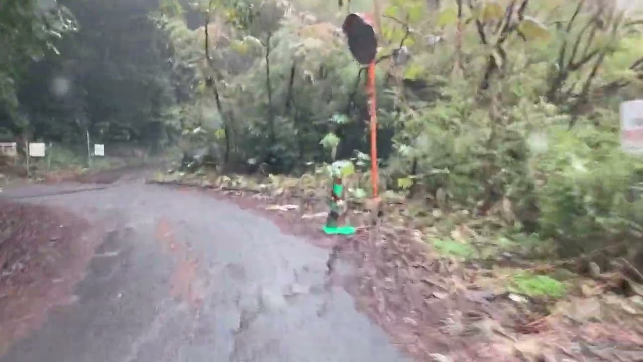 若松区の山道を行く（１）