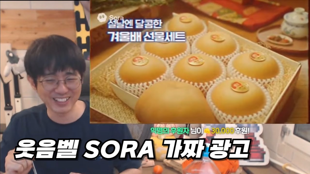 죽이고 싶은 SORA 가짜 광고 (2)