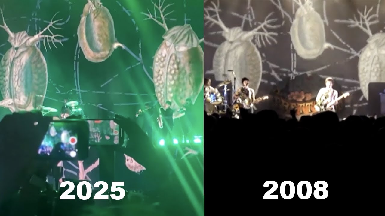 the 2008 graphics used in NITA @ WWWY