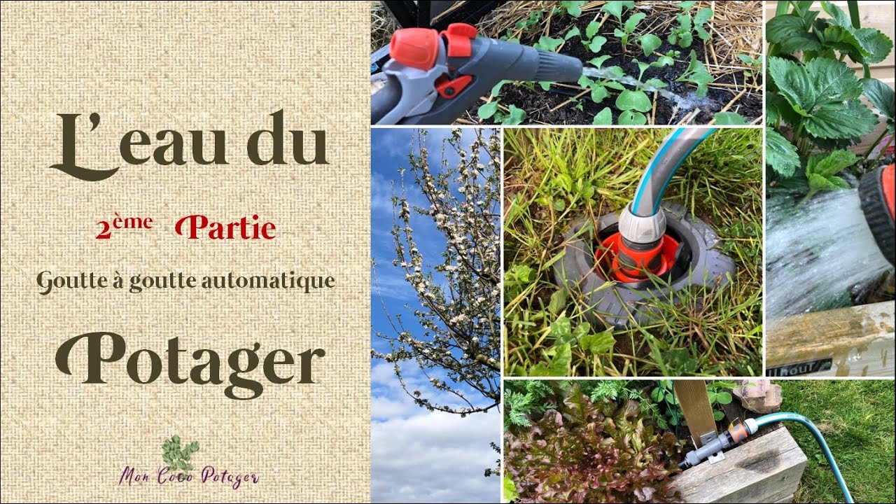 L'eau du potager - 2ème partie :  Goutte à goutte automatique