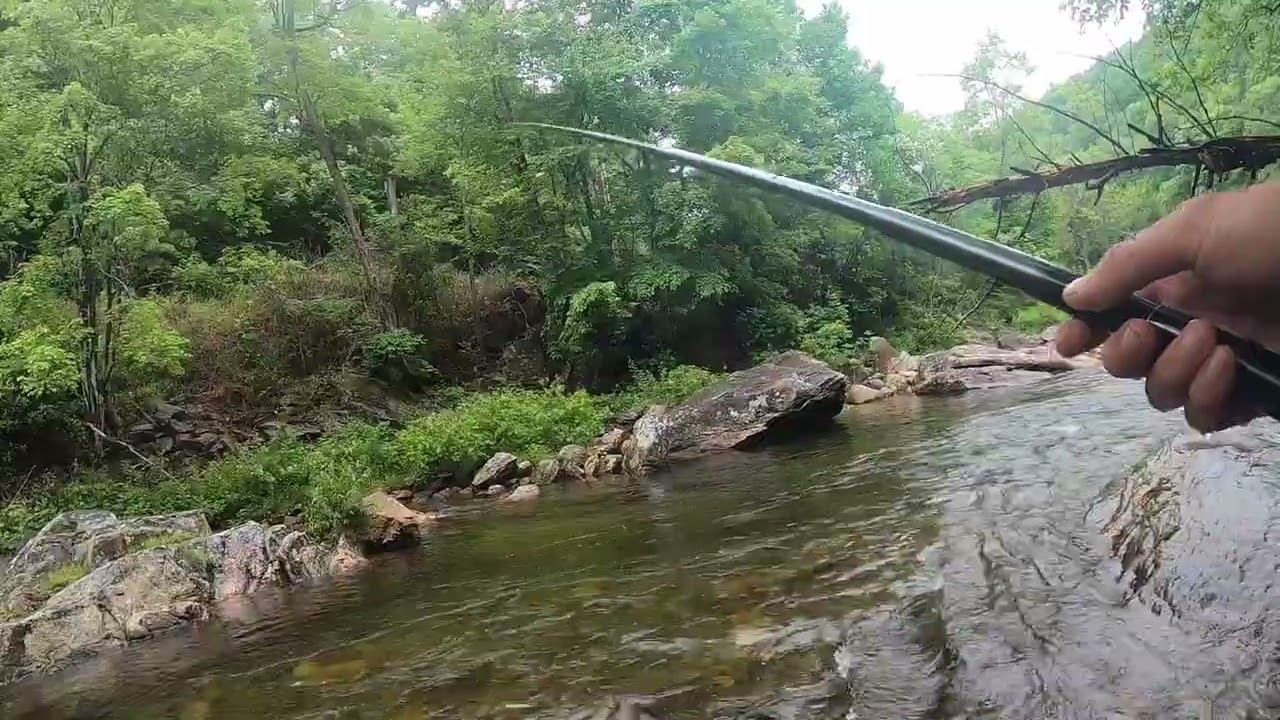Ep. 4 Keiryu Fishing for large brown trout in the rain! Pisgah National Forest - Tenkara
