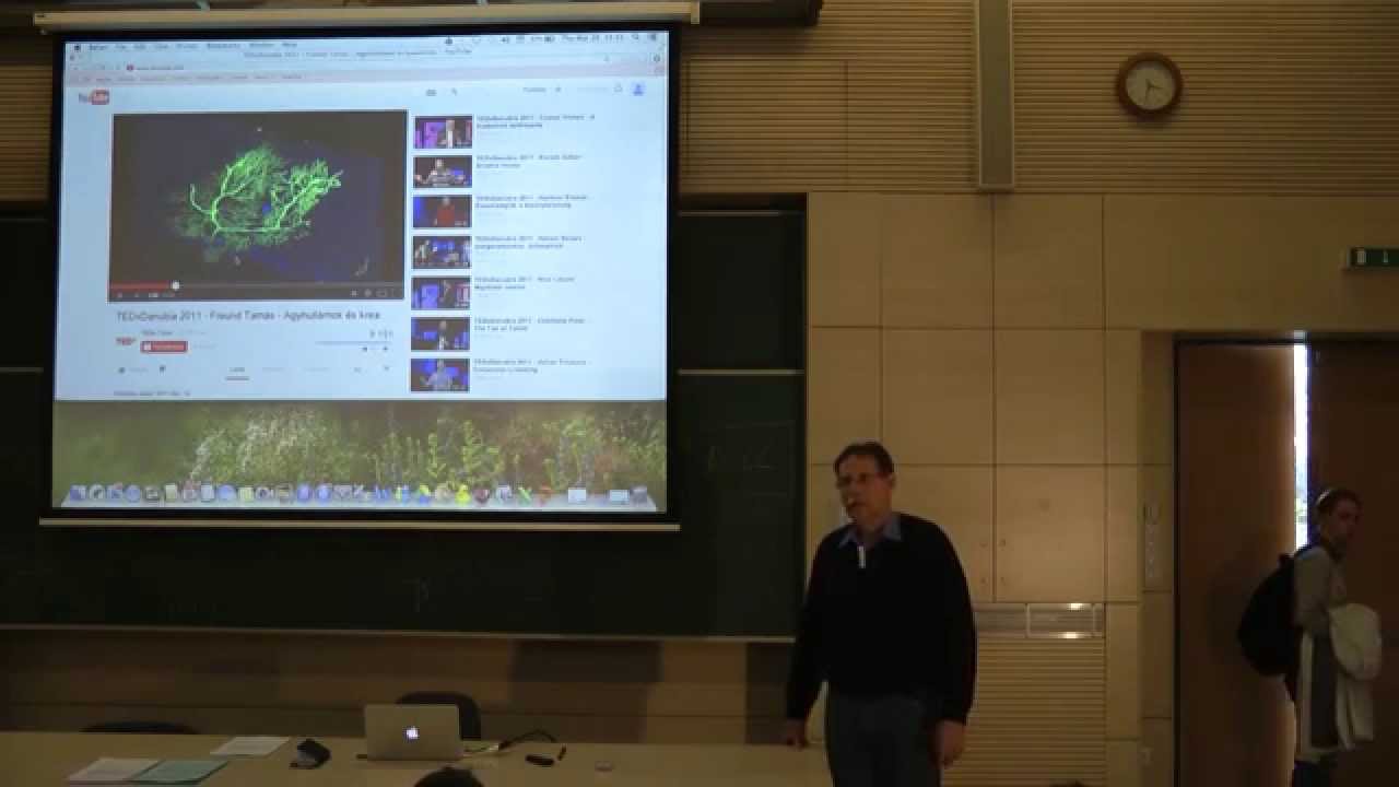 Neurális hálózatok alapfogalmai II.