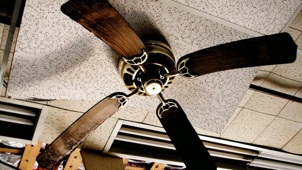 abandoned and abused ceiling fans for 24 minutes