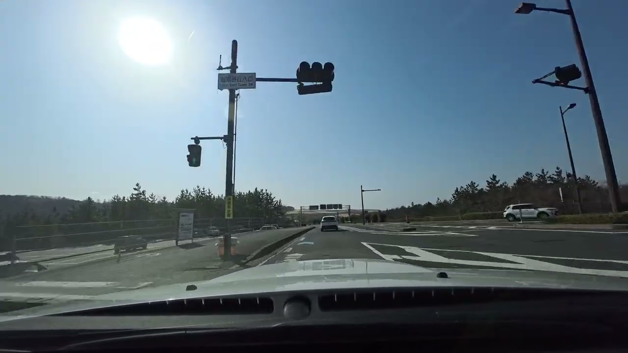 ハチ北へゴー2026030106