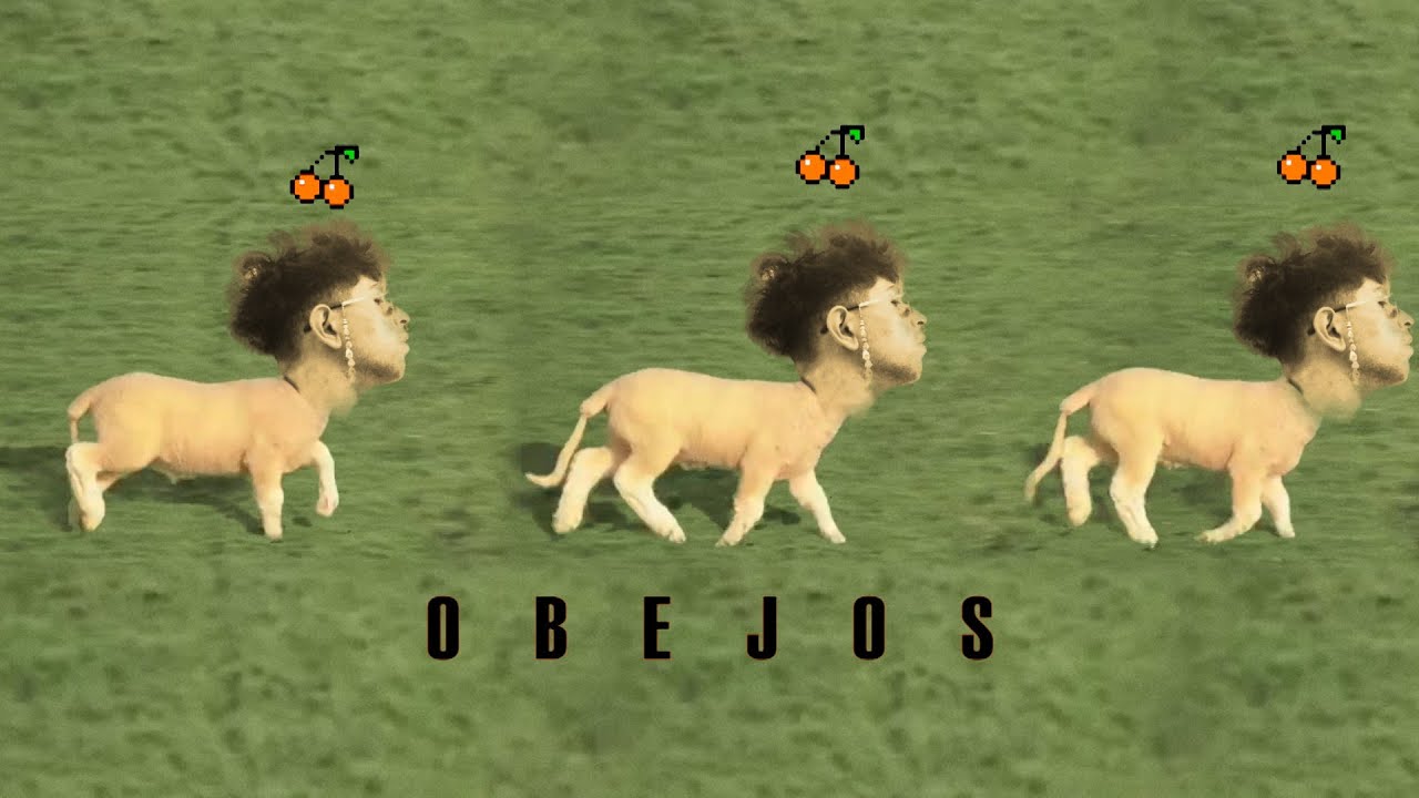 BEJO - MANGO (VID&Eacute;O)