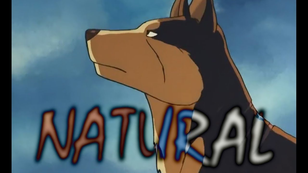 [GNG] ɴᴀᴛᴜʀᴀʟ