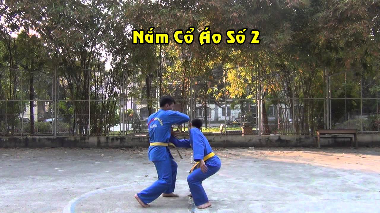 Kỹ Thuật Khóa Gỡ Căn Bản Cấp Đai Tự Vệ - Vovinam Việt Võ Đạo
