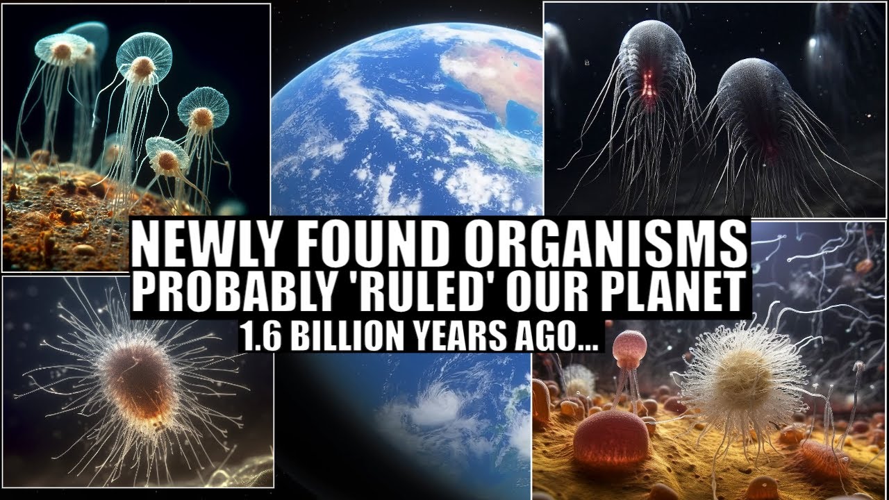 Previously Unknown Complex Lifeforms Dominated Earth 1.6 Billion Years Ago