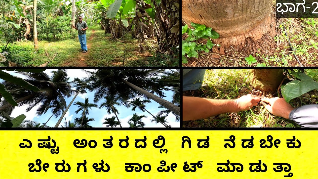 ಭೂಮಿನ ಸುರಕ್ಷಿತವಾಗಿಟ್ಟಿರೋದು ರಕ್ಷಣೆ ಮಾಡ್ತಿರೋದು ಕಳೆಗಳು...ಒಂದೊಂದು ಗಿಡಮರಕೂ ಎಷ್ಟೆಷ್ಟು ಅಂತರ ಇರಬೇಕು ಬೆಳಕನ್ನು