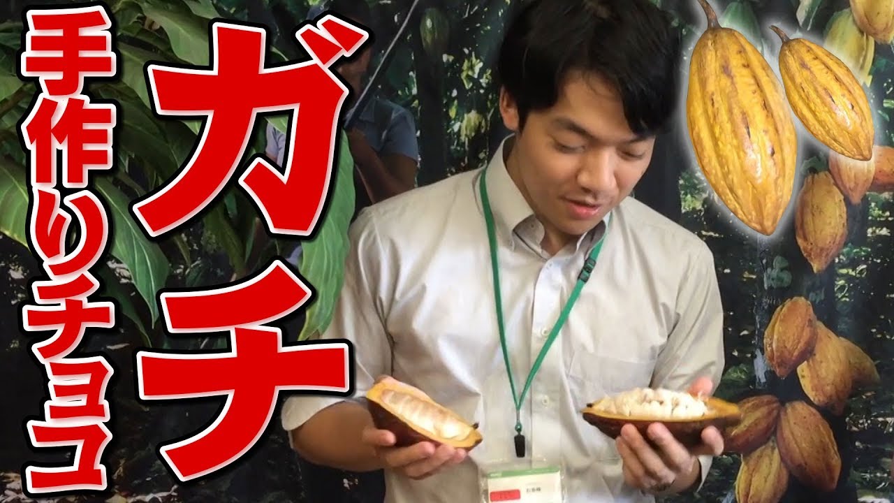 【ガチ実演】カカオ豆からチョコレートを作ってもらった！