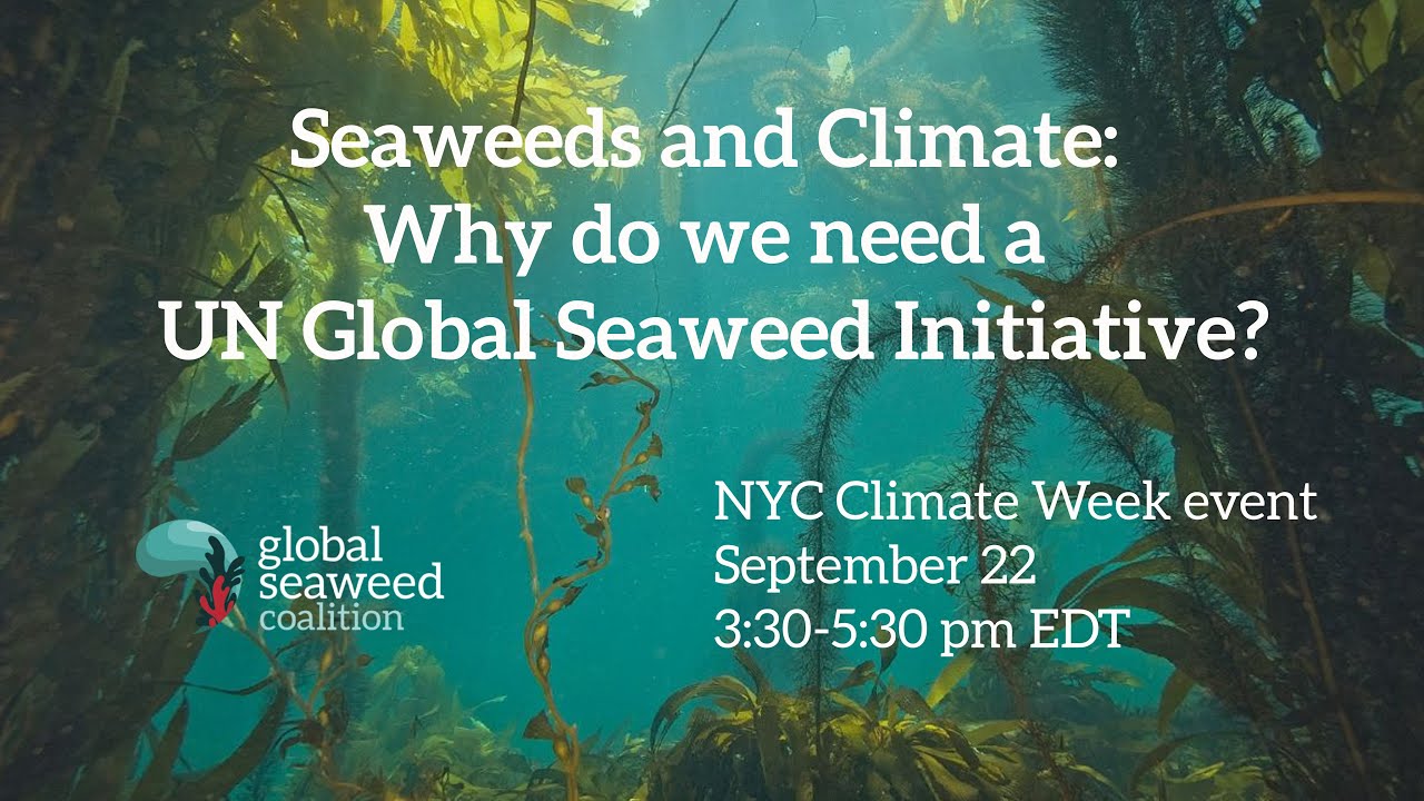 Seaweeds and Climate: Why do we need a UN Global Seaweed Initiative ?
