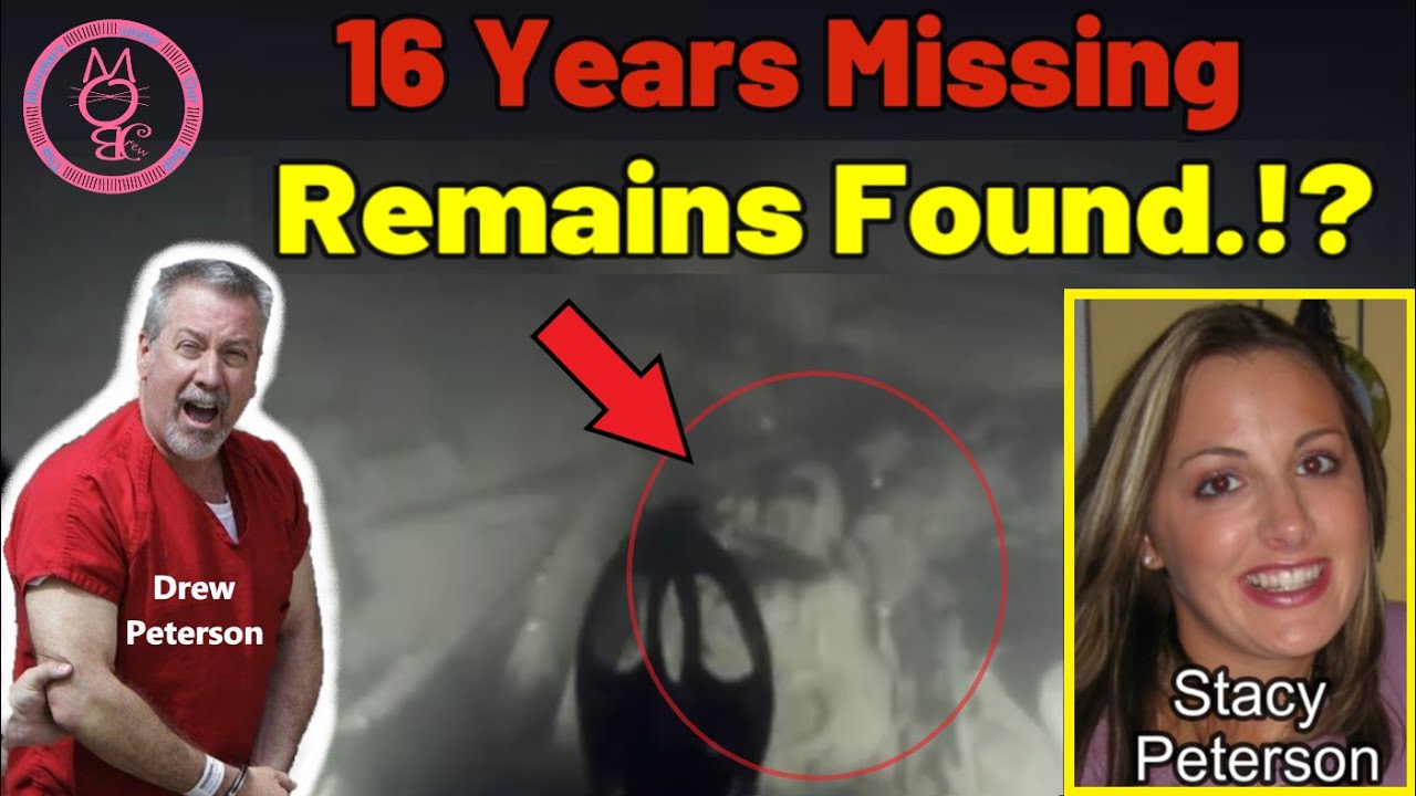 New Footage Shows Remains That Are Believed to be Stacy Peterson
