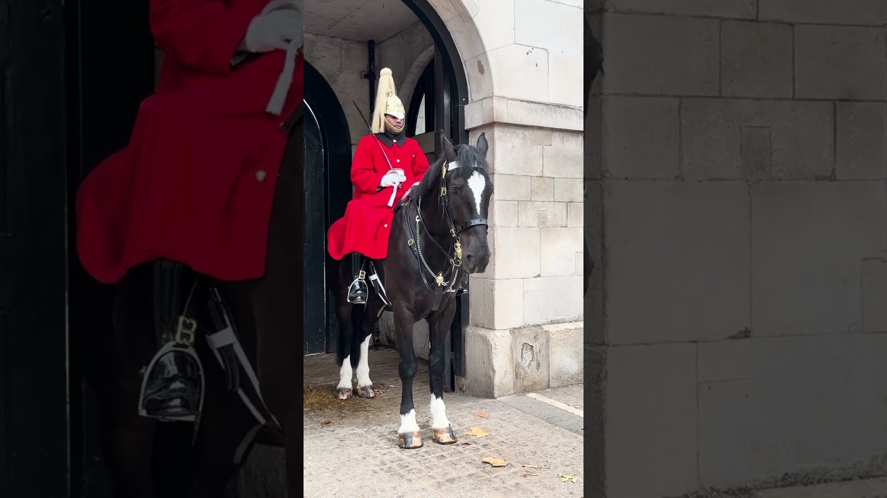 When Tourists Meet the Royal Horse for the First Time 😲