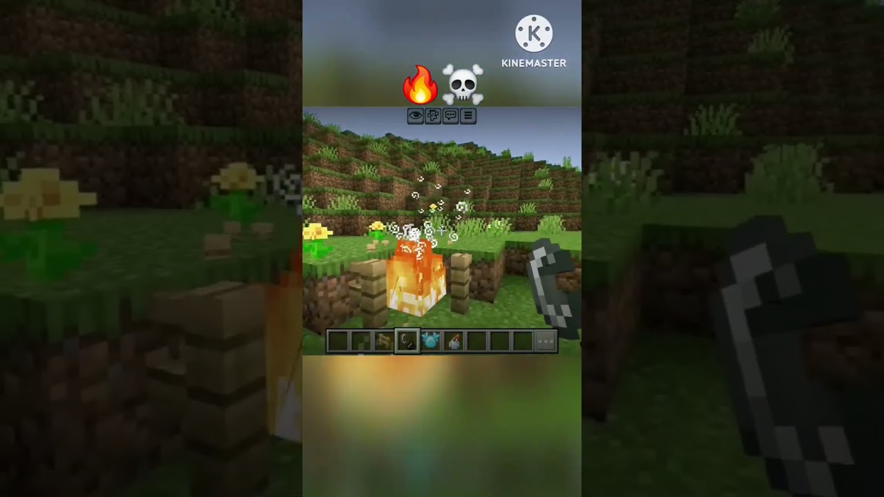 Minecraft fire fly 🔥🥵 