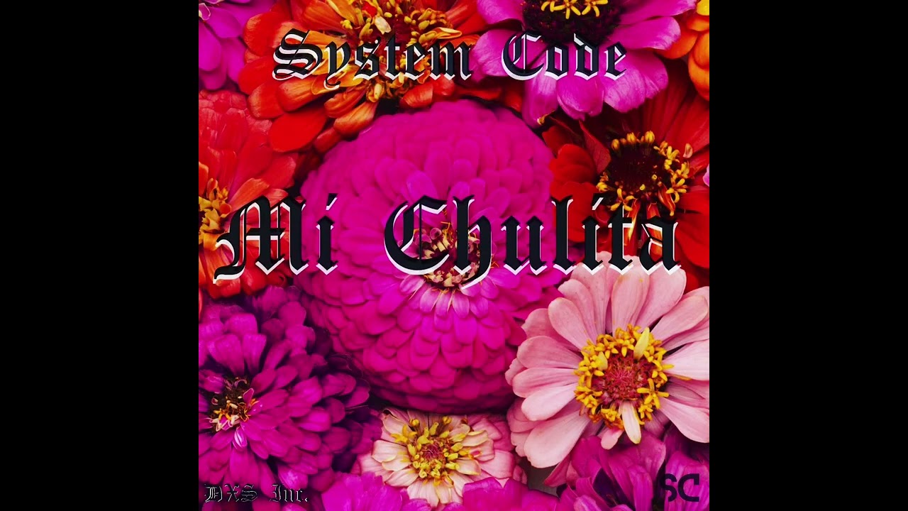 SYSTEM CODE  - MI CHULITA 
