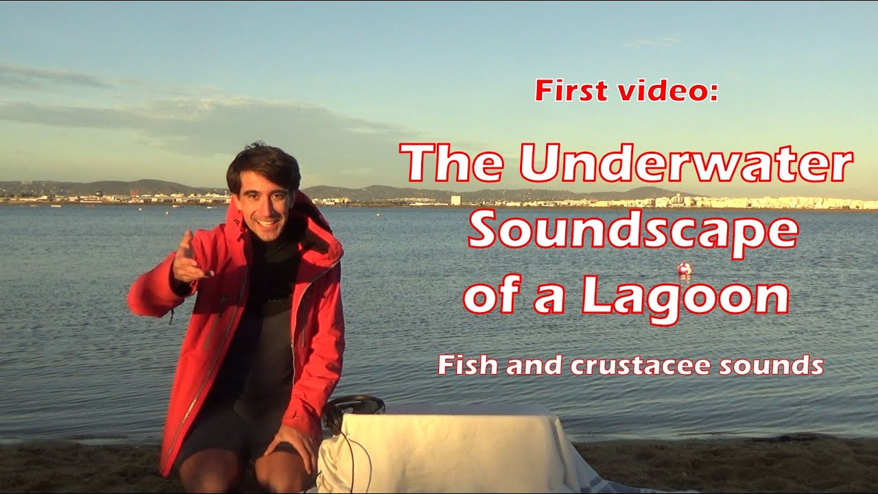 Underwater soundscape recording during sunset at the Ria Formosa, Portugal, 23/11/2025