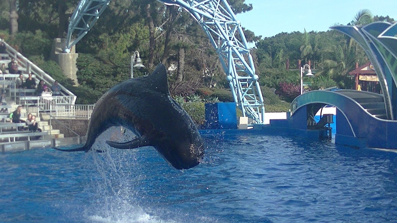 Dolphin Island Christmas (Full Show) Dec 2 2018 - SeaWorld San Diego