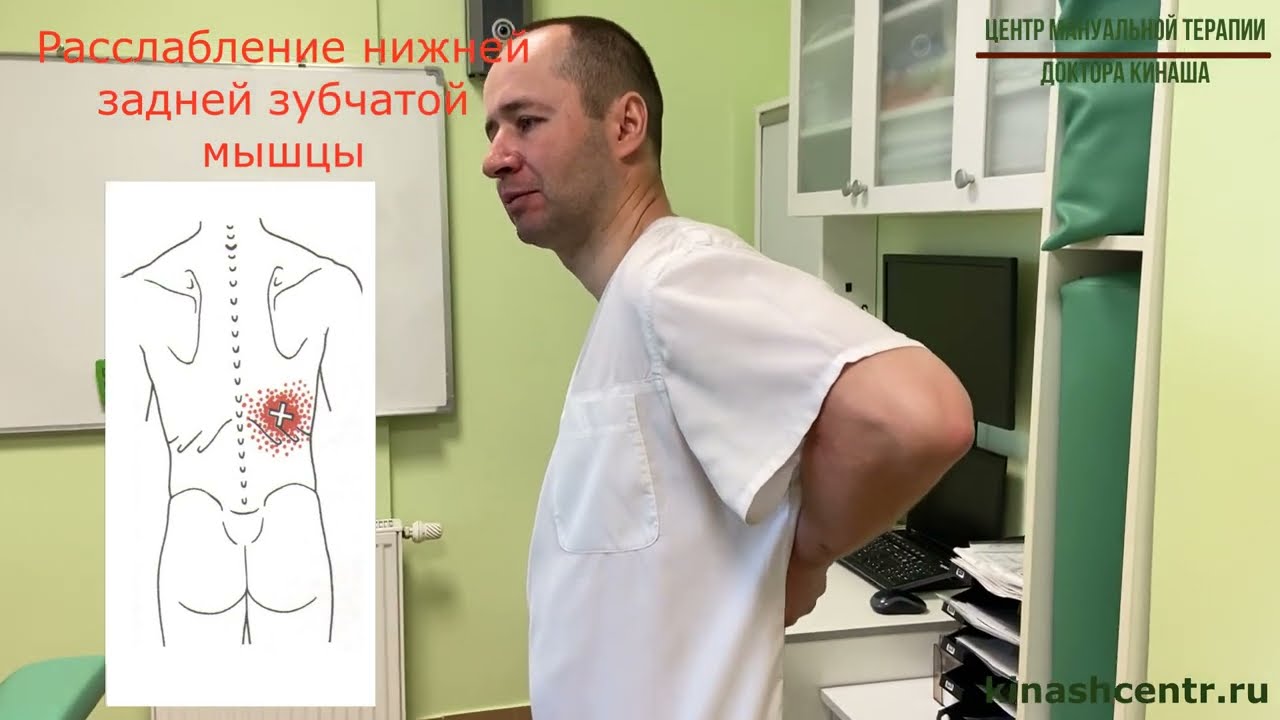 Расслабление нижней задней зубчатой мышцы. Боль в спине