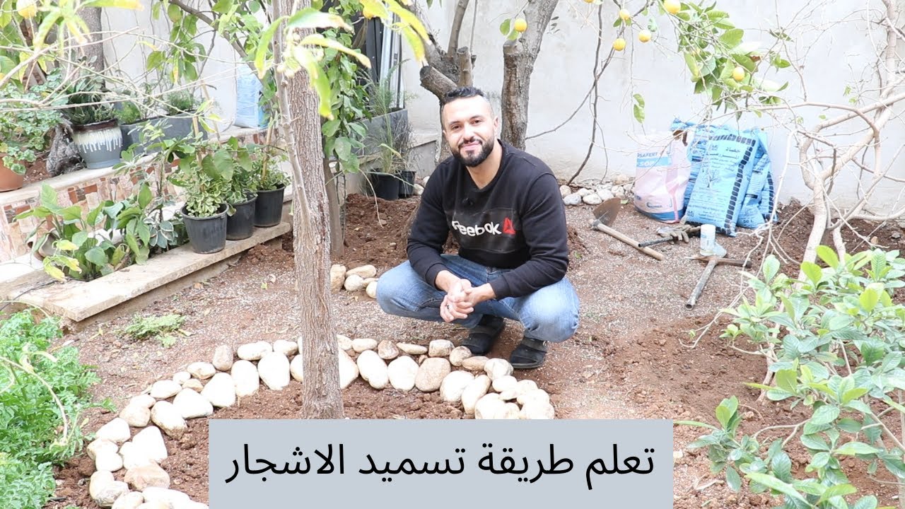 تعلم طريقة تسميد الاشجار (خطوات بسيطة)