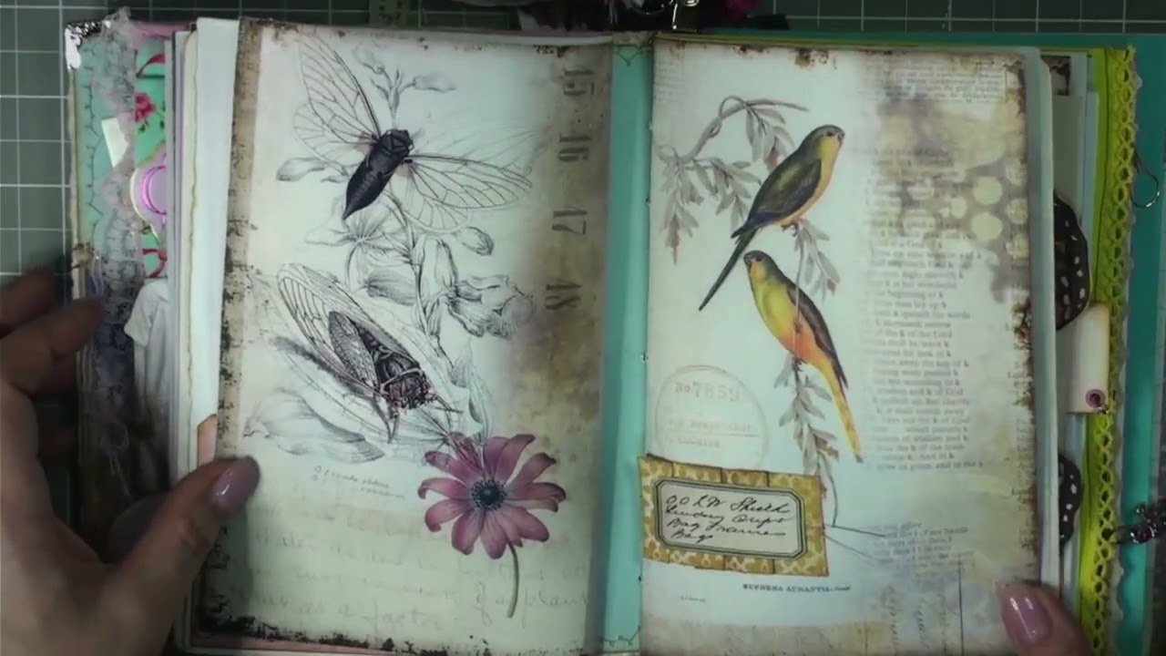 Faith Journal  -  Progress Flip Through
