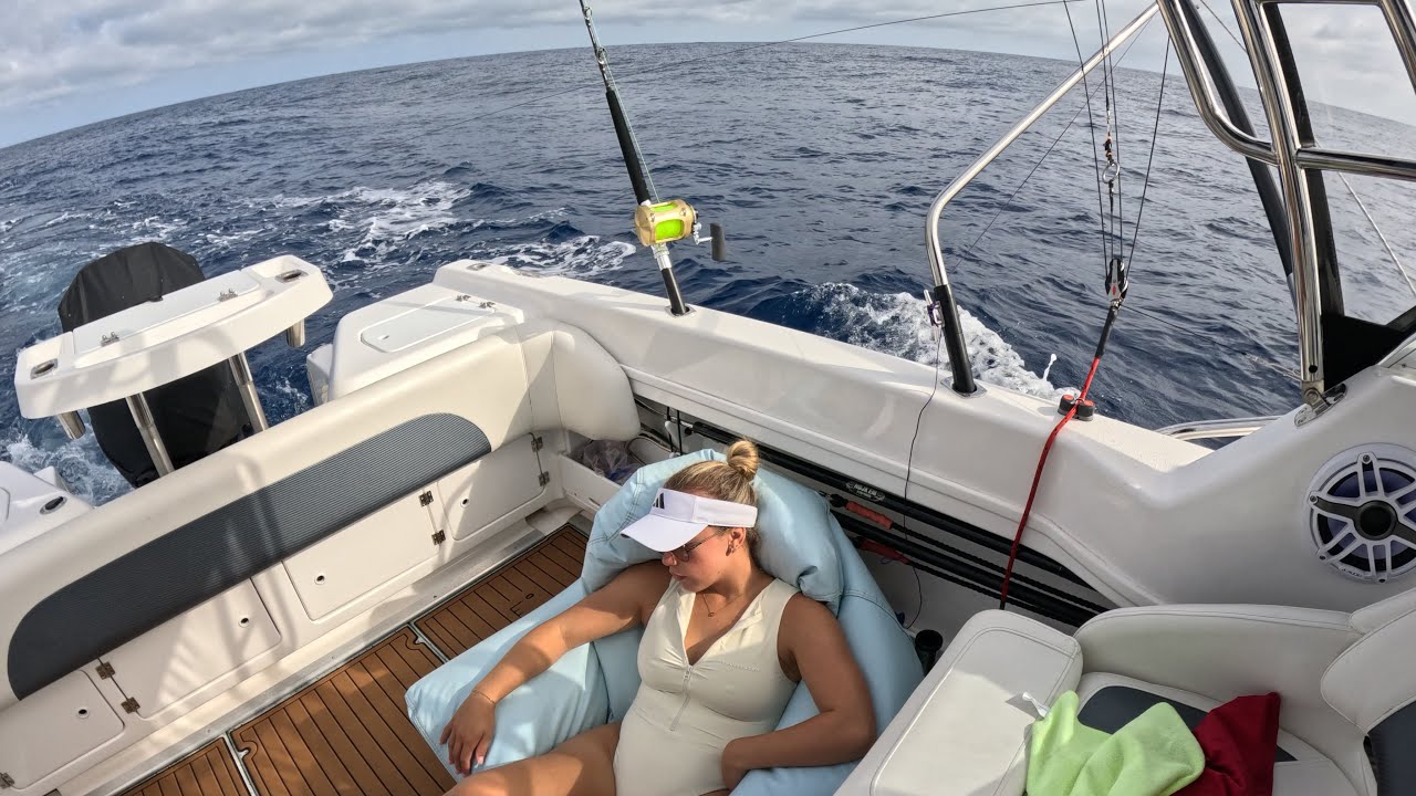 Sleeping decky!! Early season marlin!