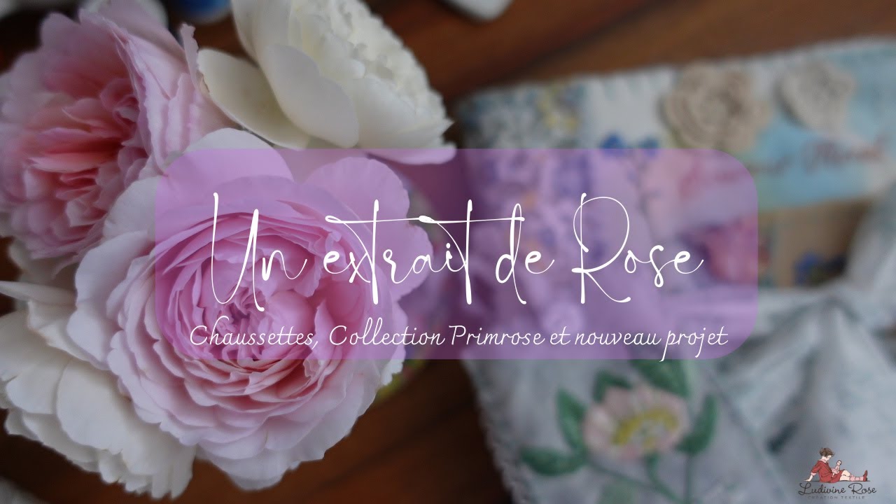 Un extrait de Rose Chaussettes, collection Primrose et nouveau projet #broderie #tricot