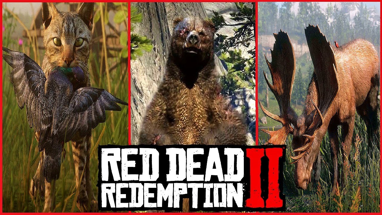 Все ВИДЫ животных в Red Dead Redemption 2
