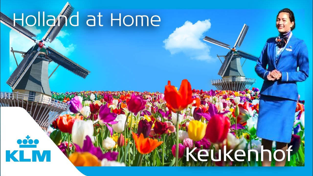 KLM presents: Holland at Home - Keukenhof (8D sound 🔊)