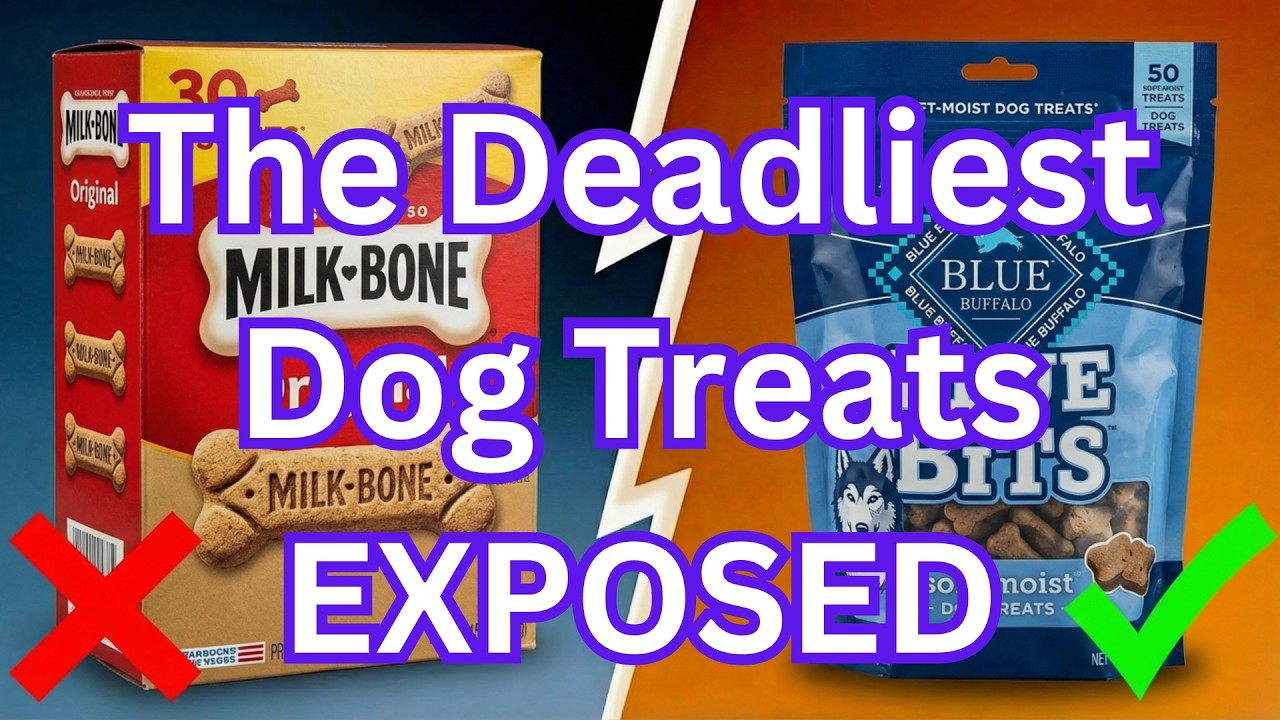 9 Dog Treats To AVOID (And The 2 That Are Worth It)