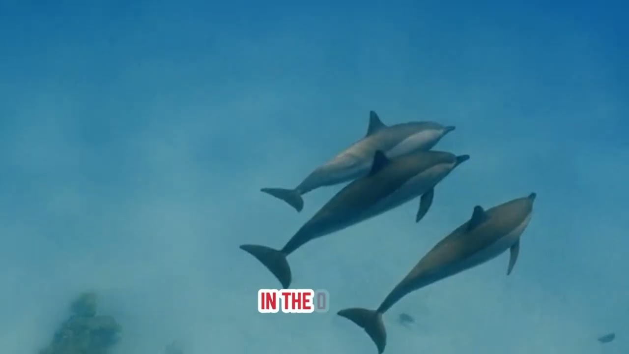 Animals That Outsmart Predators | Nature’s Hidden Strategists