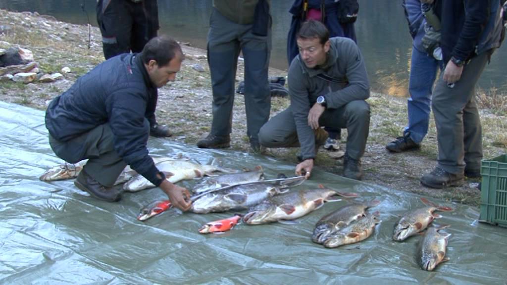 Lago  Tremorgio  pesca  selettiva