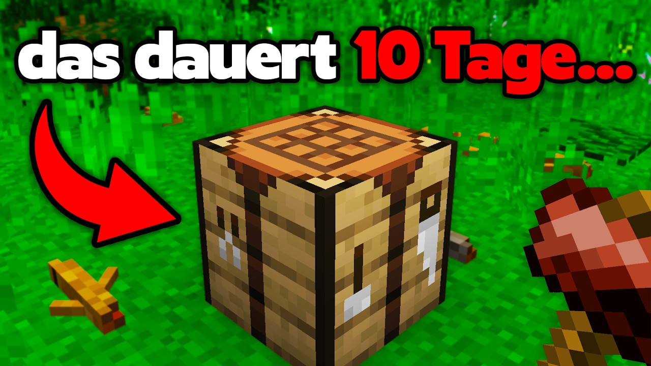 Ich spiele die REALISTISCHSTE Minecraft MOD…