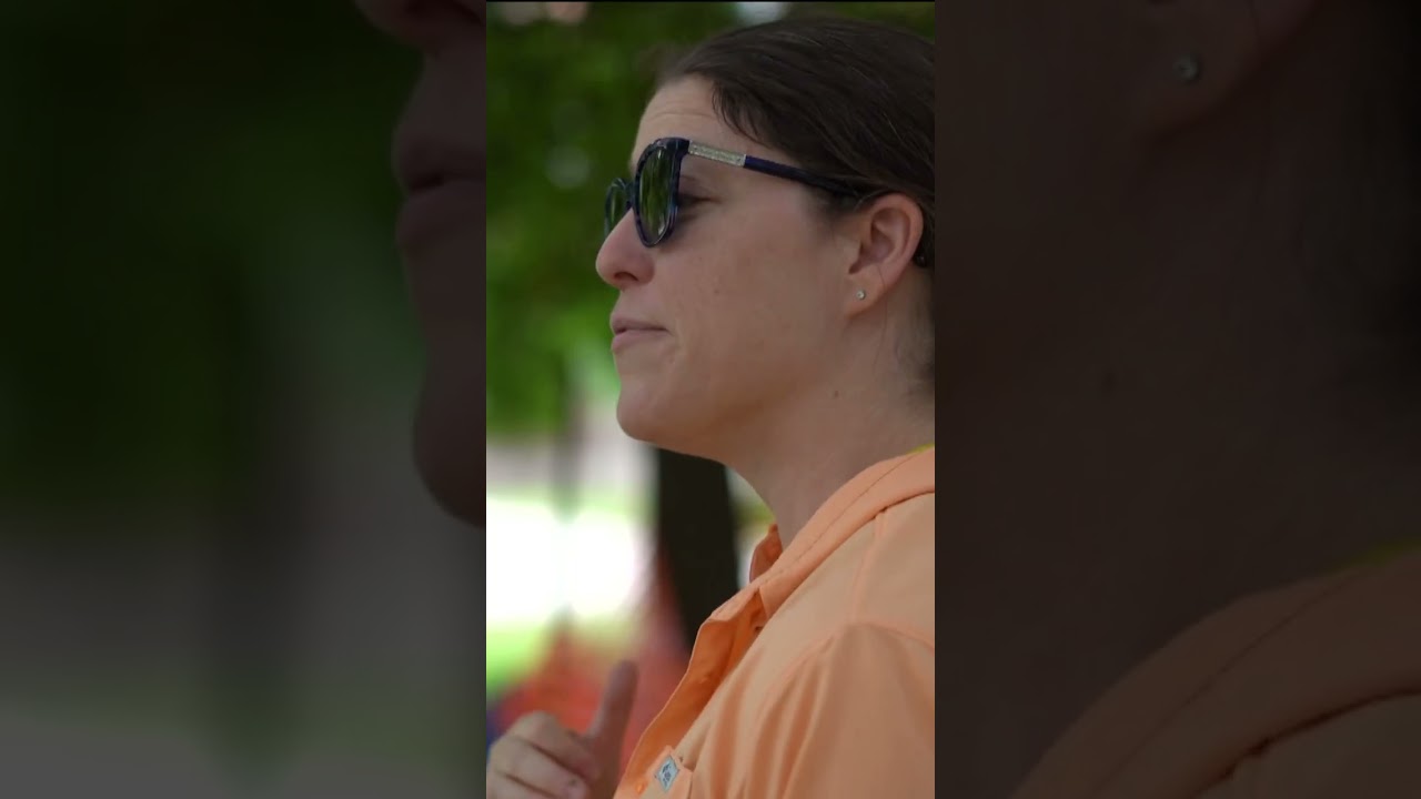 Historic discovery made at MSU while digging hammock poles