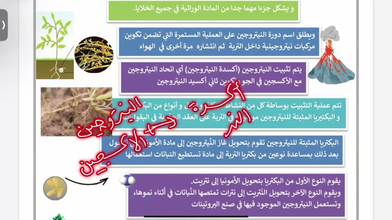 الدورات في الأنظمة البيئية علوم خامس الترم الاول الجزء الثاني 