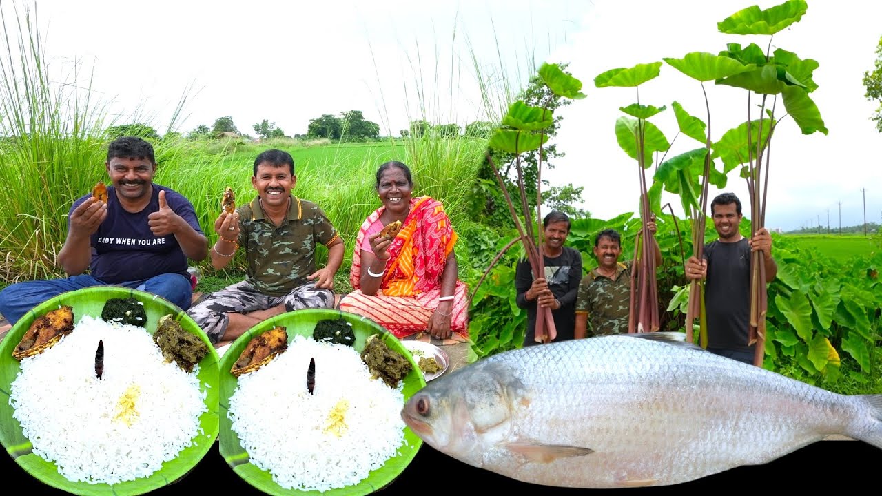 বর্ষার মধ্যে ইলিশ ভাজা ভাত সঙ্গে কুমড়ো পাতা বাটা কচুর শাক জমিয়ে খাওয়া | village cooking vlog