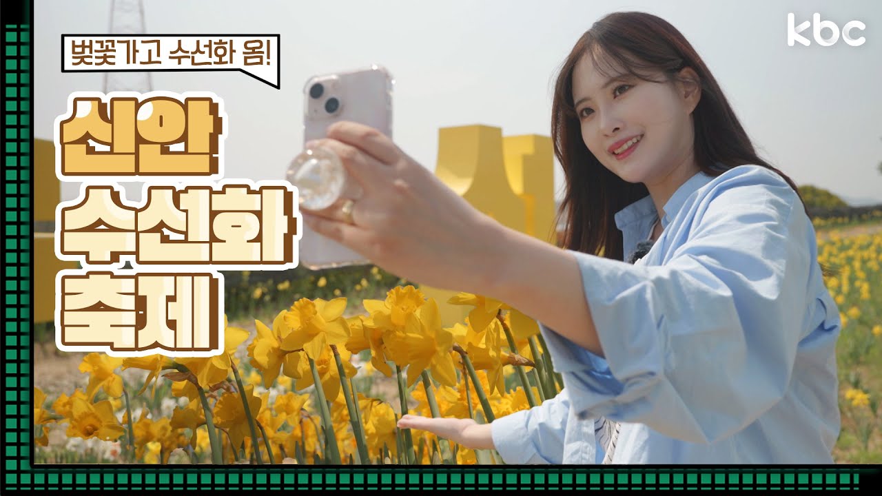 [꿀잼남도🍯] 벚꽃 가고 찾아온 수선화! 수선화 명소 신안 선도로~⛵ | kbc도시락