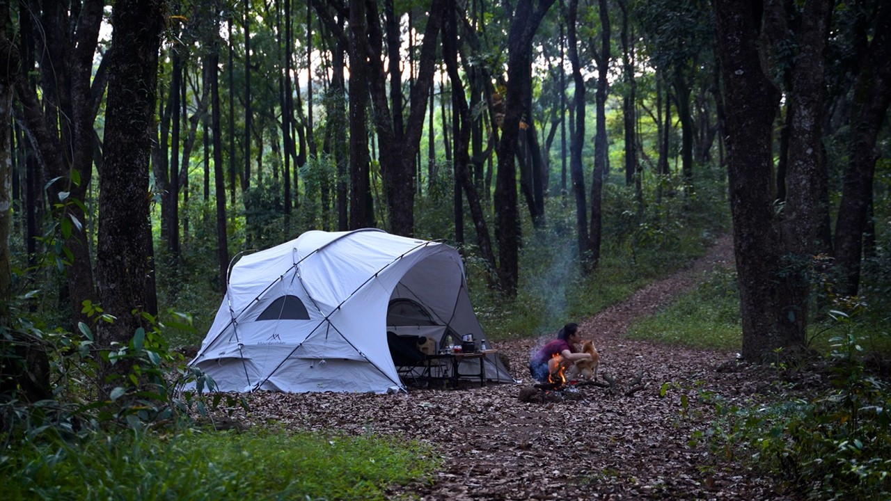 Solo Camping in the Forest with My Dog: A Peaceful Sleep, Self-Heating Hotpot, Campfire Chopping