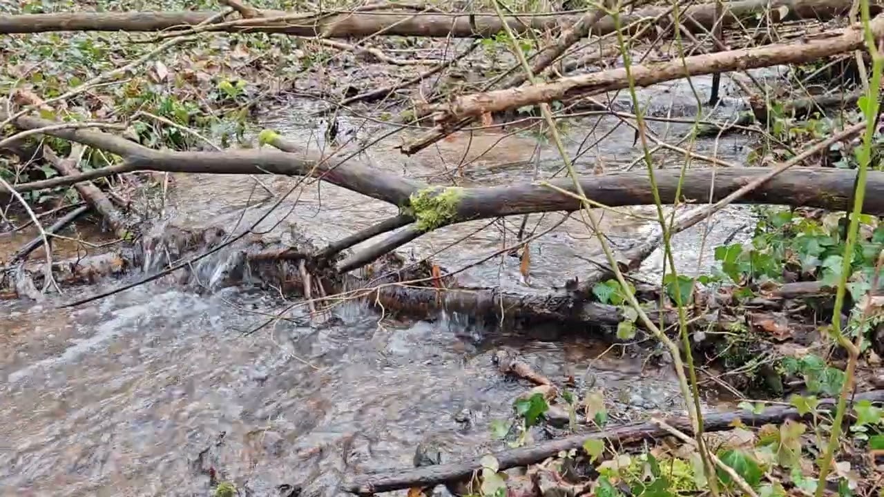 La Méditation de l'Eau qui Coule