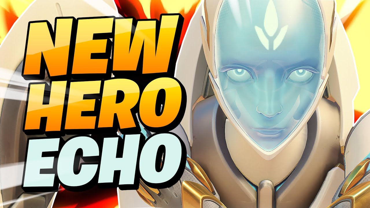 The life of an ECHO player